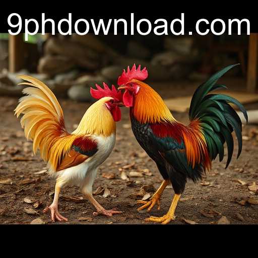 poker heads-up um contra um